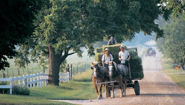 Discover the Fascinating World of the Amish in Northern Indiana 10