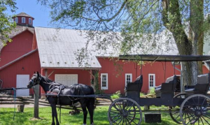 Discover the Fascinating World of the Amish in Northern Indiana