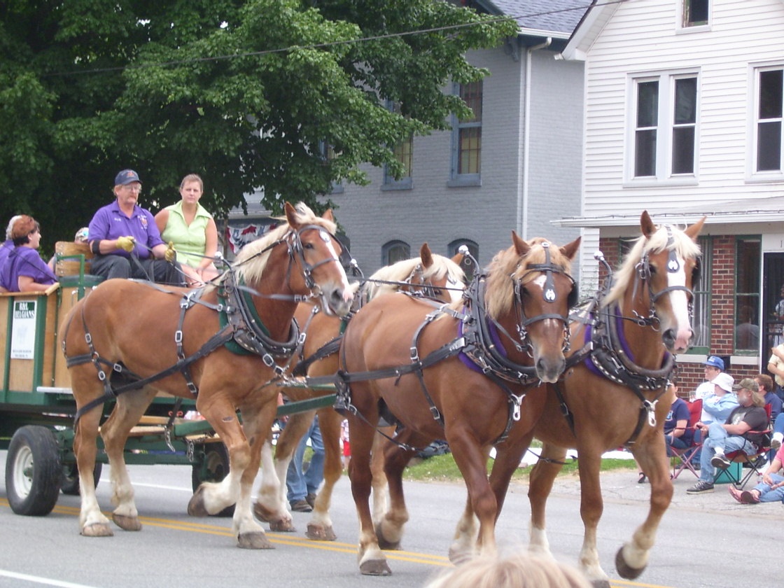 Top 15 Things To Eat Laporte 4th Of July Parade NITDC