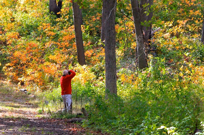 Fantastic Places to See Fall Foliage in Indiana’s Cool North 1