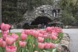 Six Splendid Places to Celebrate Spring in Indiana’s Cool North 2