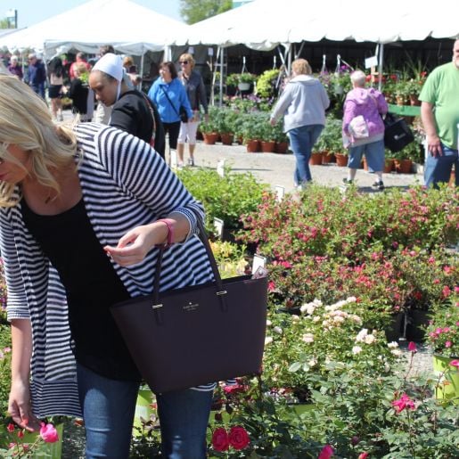 Six Splendid Places to Celebrate Spring in Indiana’s Cool North 1