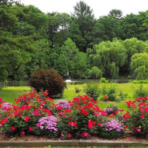 7 Amazing Gardens in Indiana's Cool North 2