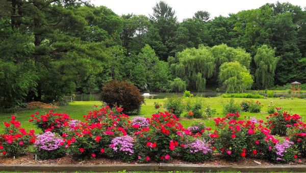 7 Amazing Gardens in Indiana's Cool North 2