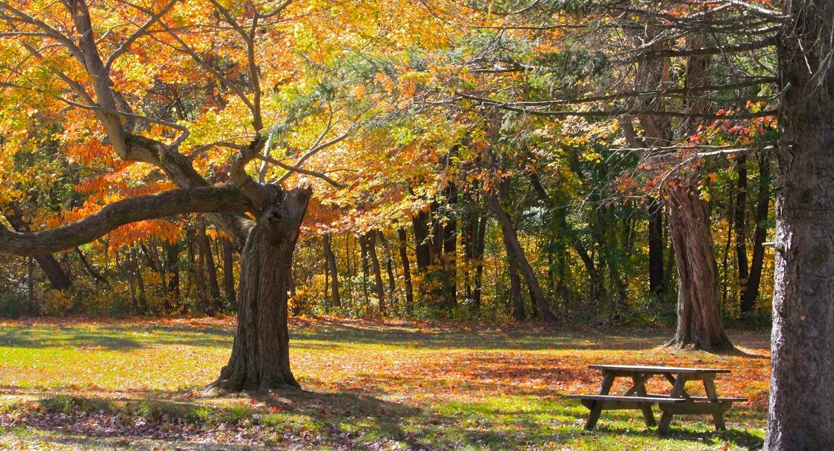 Fantastic Places to See Fall Foliage in Indiana’s Cool North