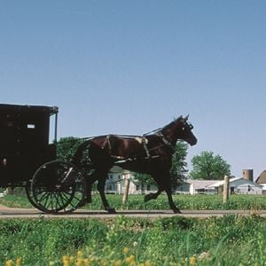 Top 5 Things to Do in Elkhart County 3