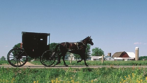 Top 5 Things to Do in Elkhart County 3
