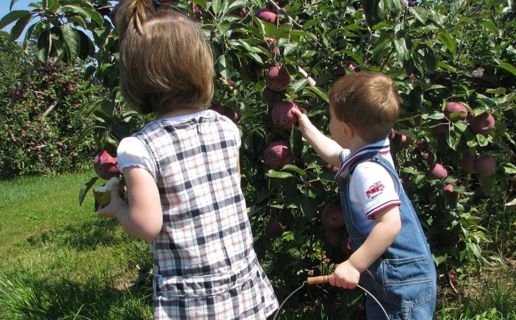 Kercher's Orchard