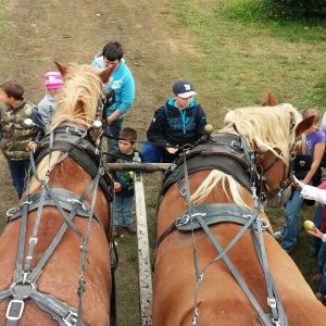 Family Fall Fun in Indiana’s Cool North 1
