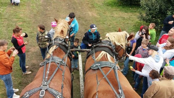 Family Fall Fun in Indiana’s Cool North 1