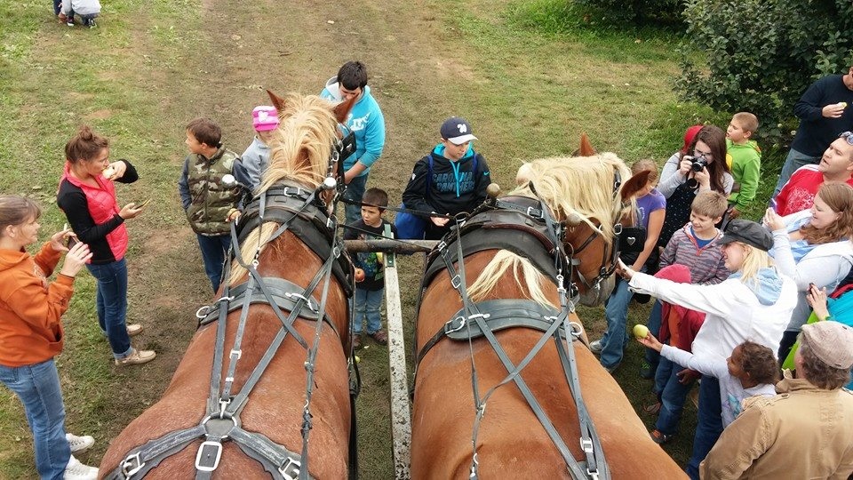 Family Fall Fun in Indiana’s Cool North 1