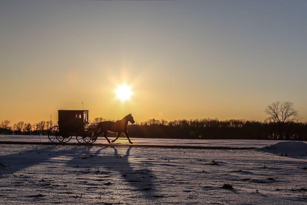 Elkhart Buggy in snow