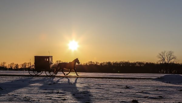 Discover the Fascinating World of the Amish in Northern Indiana 20