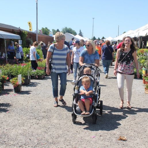 Six Splendid Places to Celebrate Spring in Indiana’s Cool North