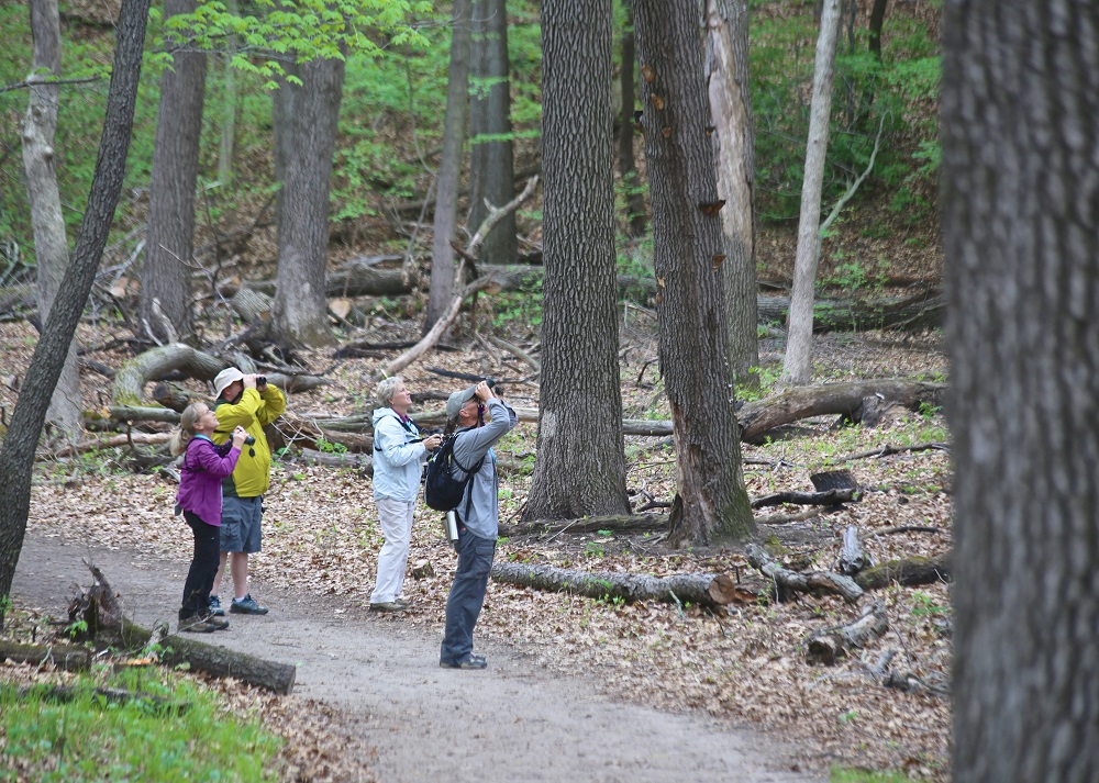 Birding at Indiana Dunes