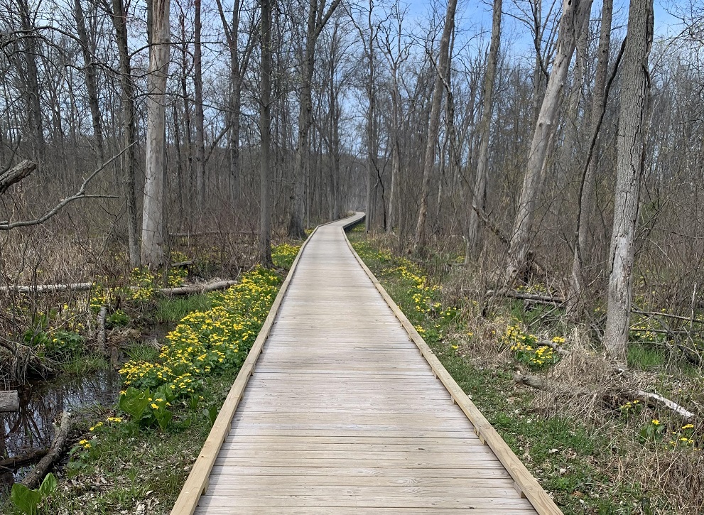 Trail 2 at Indiana Dunes