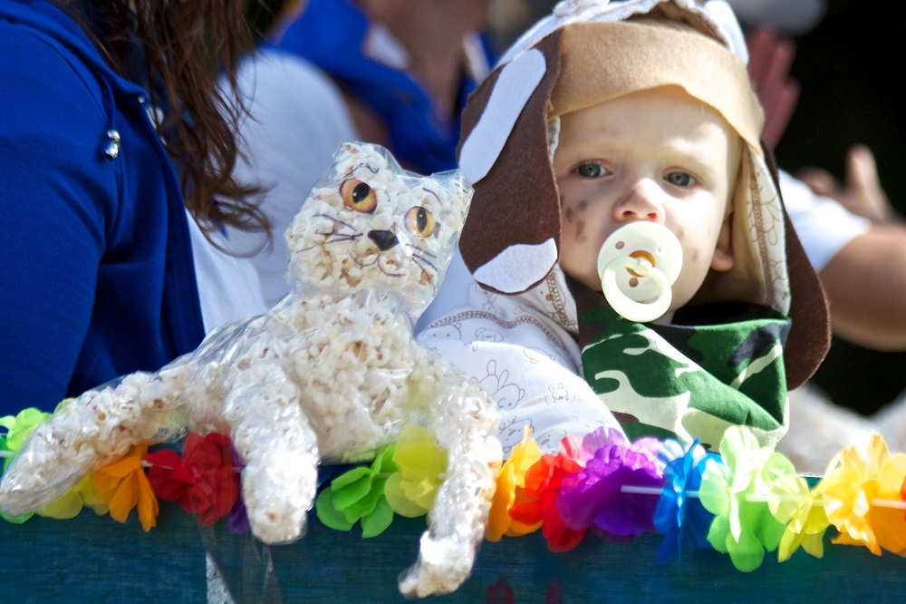 Valparaiso Popcorn Festival