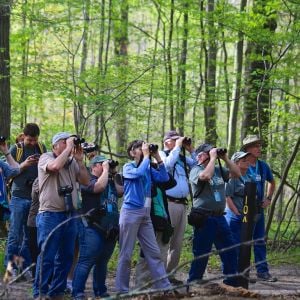 INDIANA DUNES BIRDING FESTIVAL
