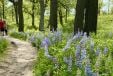 PaulHDouglas Trail - Pet Friendly