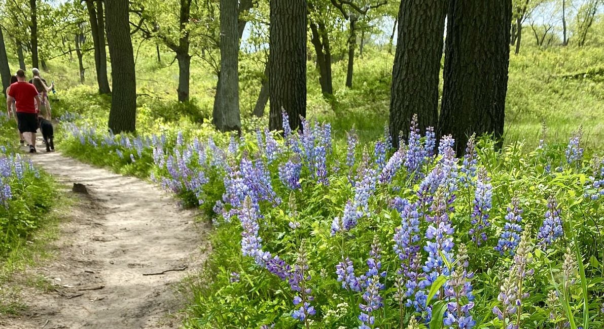 PaulHDouglas Trail - Pet Friendly