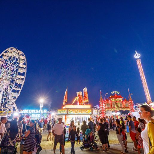 Indiana’s Cool North and County Fairs 10