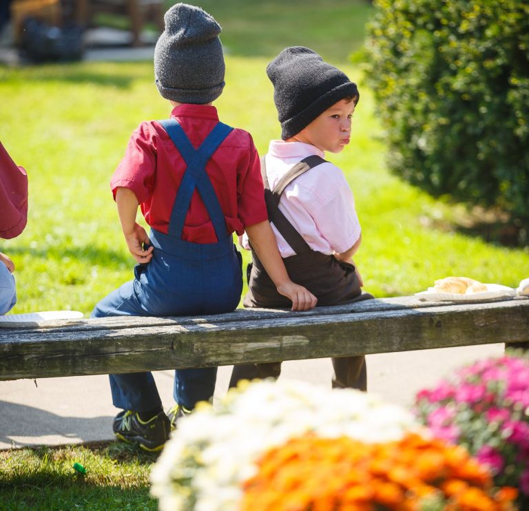 Top 15 Things To Eat Middlebury Fall Festival NITDC