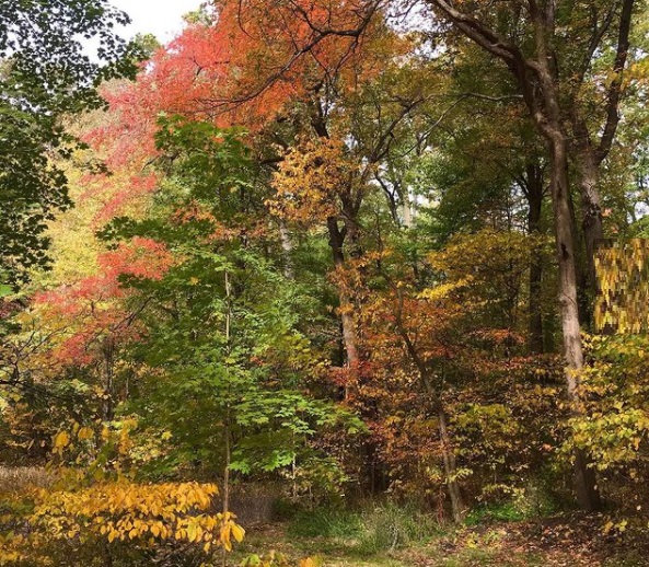 Friendship Botanic Gardens