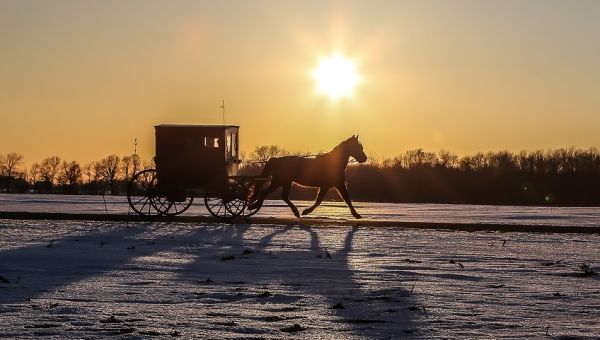 Discover the Fascinating World of the Amish in Northern Indiana 22