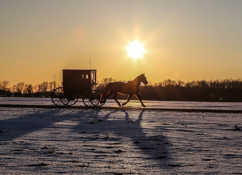 Discover the Fascinating World of the Amish in Northern Indiana 22