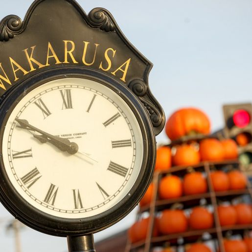 WAKARUSA PUMPKIN TREE 1
