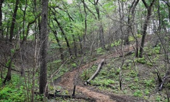 Washington Park - Bismarck Hill Hiking Trail