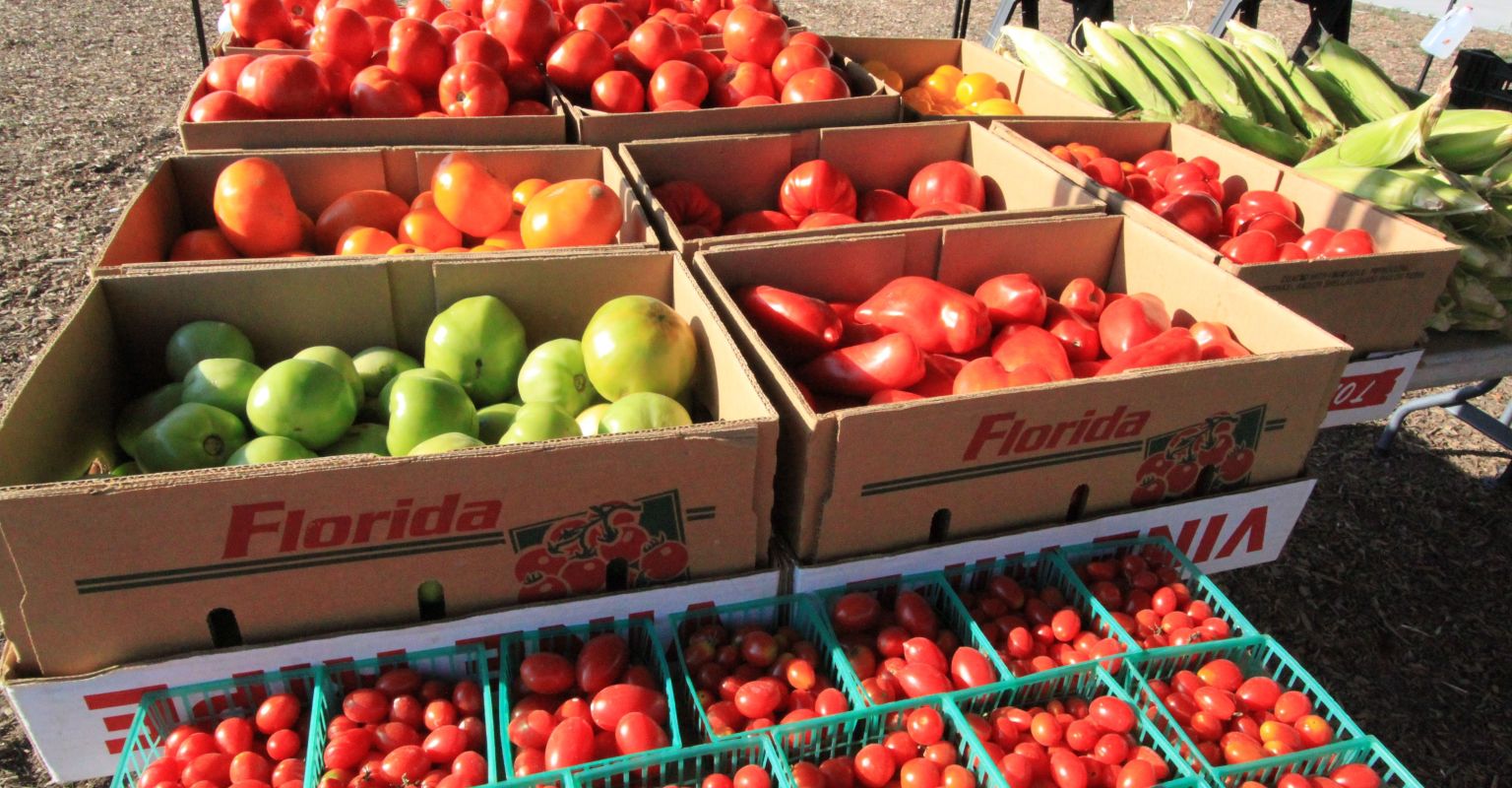 Top 15 Things To Eat Valparaiso Outdoor Market NITDC