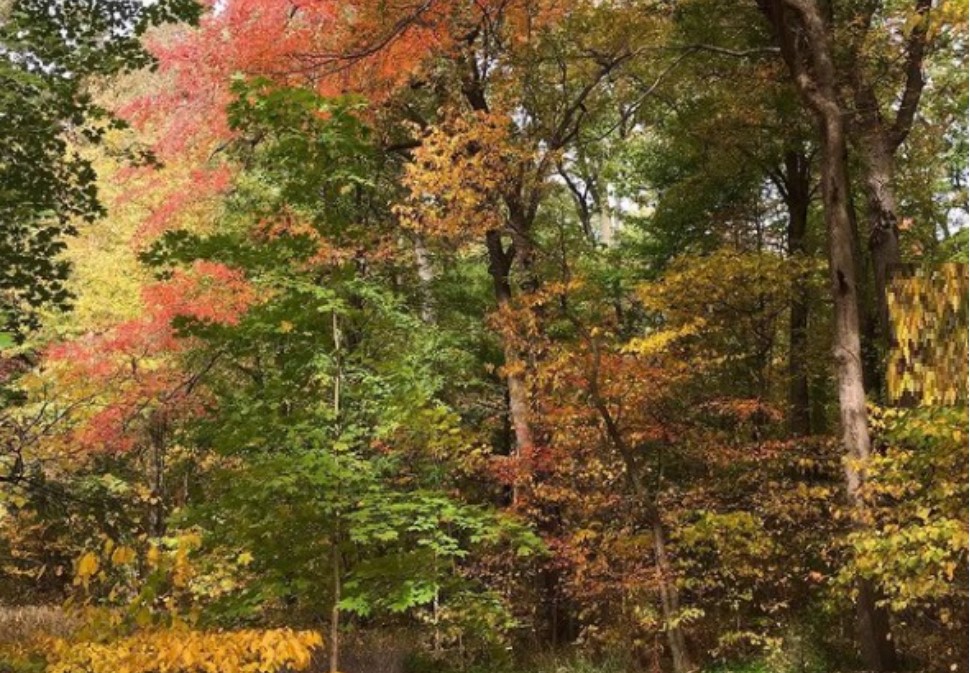 Friendship Botanic Gardens for Fall Colors