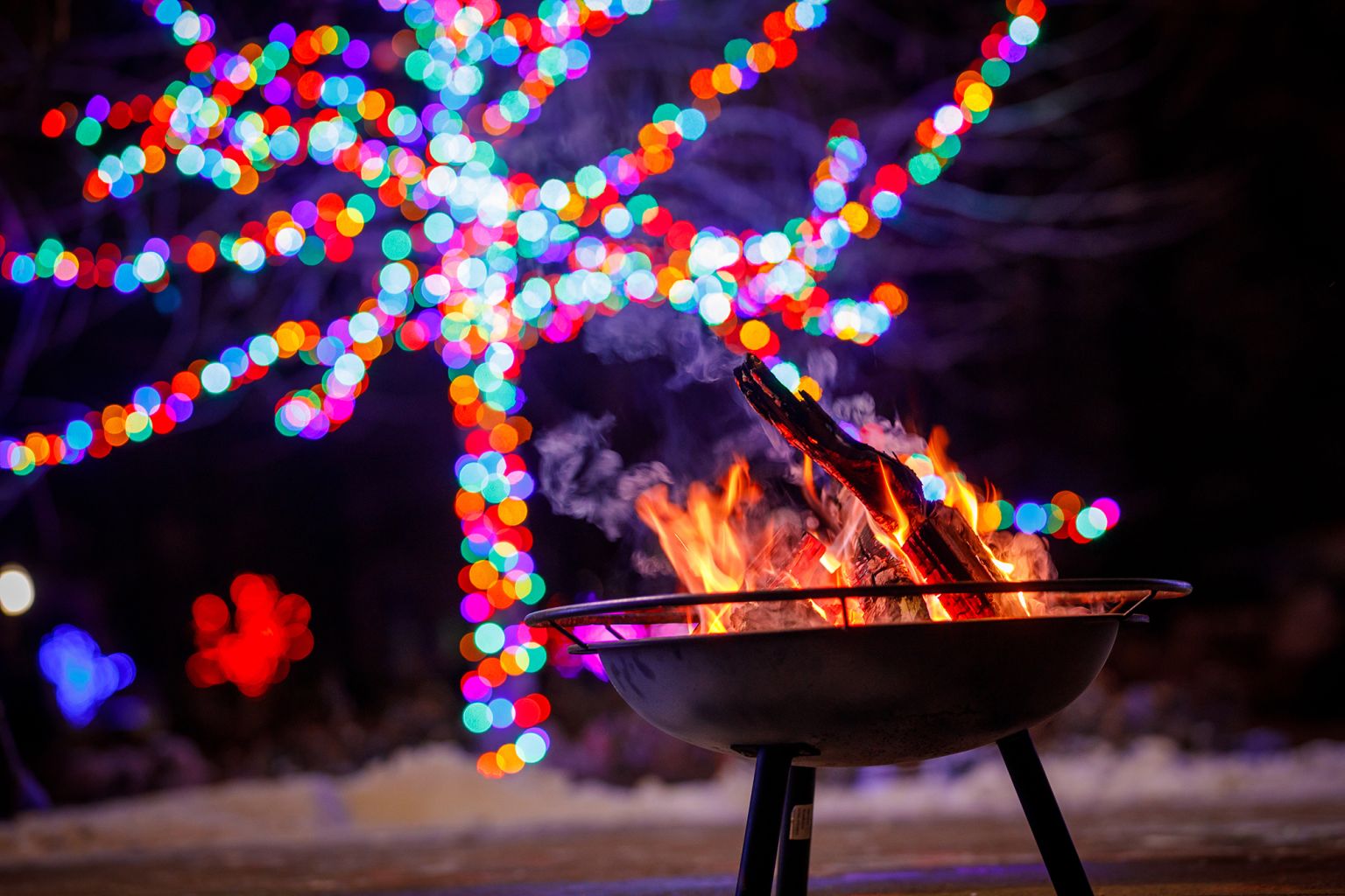 Top 15 Things To Eat The Best Holiday Lights At Wellfield Botanic