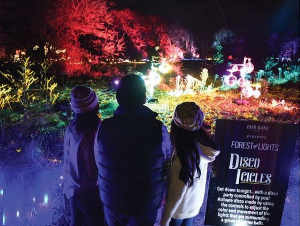 FOREST OF LIGHTS AT FAIR OAKS FARMS