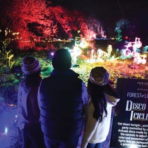 FOREST OF LIGHTS AT FAIR OAKS FARMS