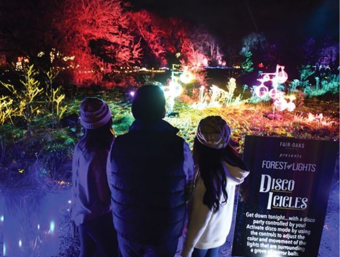FOREST OF LIGHTS AT FAIR OAKS FARMS | NITDC
