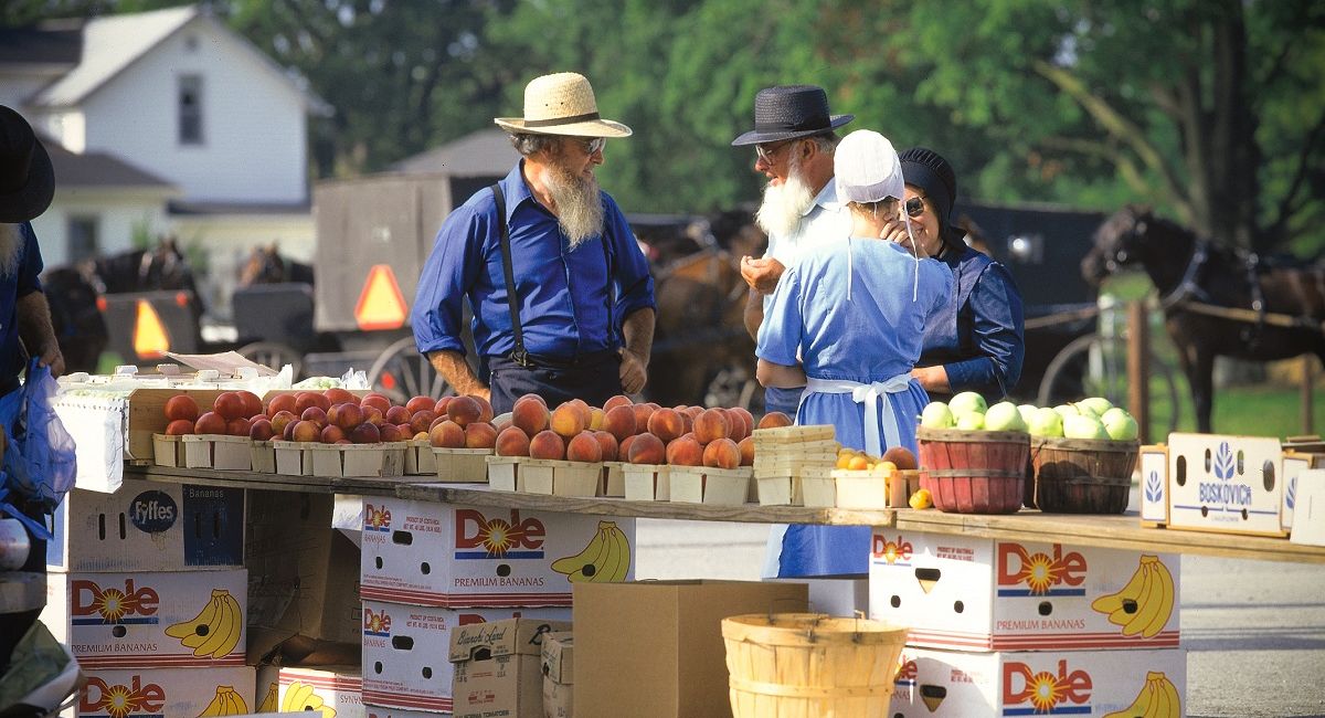 Discover the Fascinating World of the Amish in Northern Indiana 24