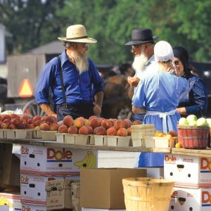 Discover the Fascinating World of the Amish in Northern Indiana 24