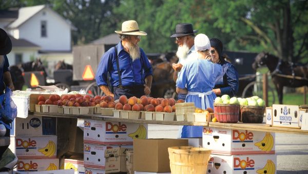 Discover the Fascinating World of the Amish in Northern Indiana 24