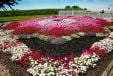 Explore the Gardens of Elkhart County 1
