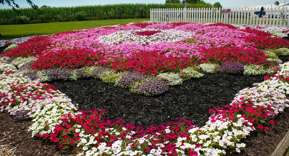 Explore the Gardens of Elkhart County 1