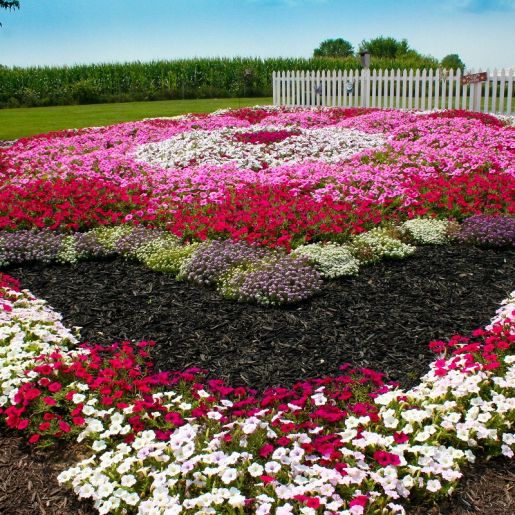 Explore the Gardens of Elkhart County 1