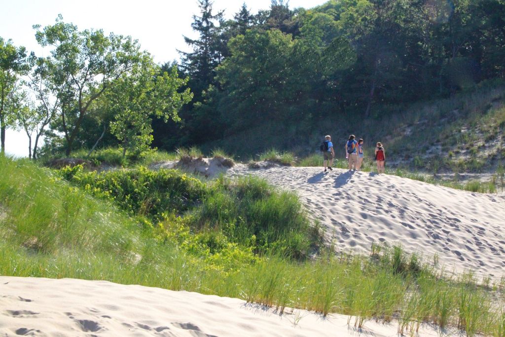 Trails 2 and 10 at Indiana Dunes State Park