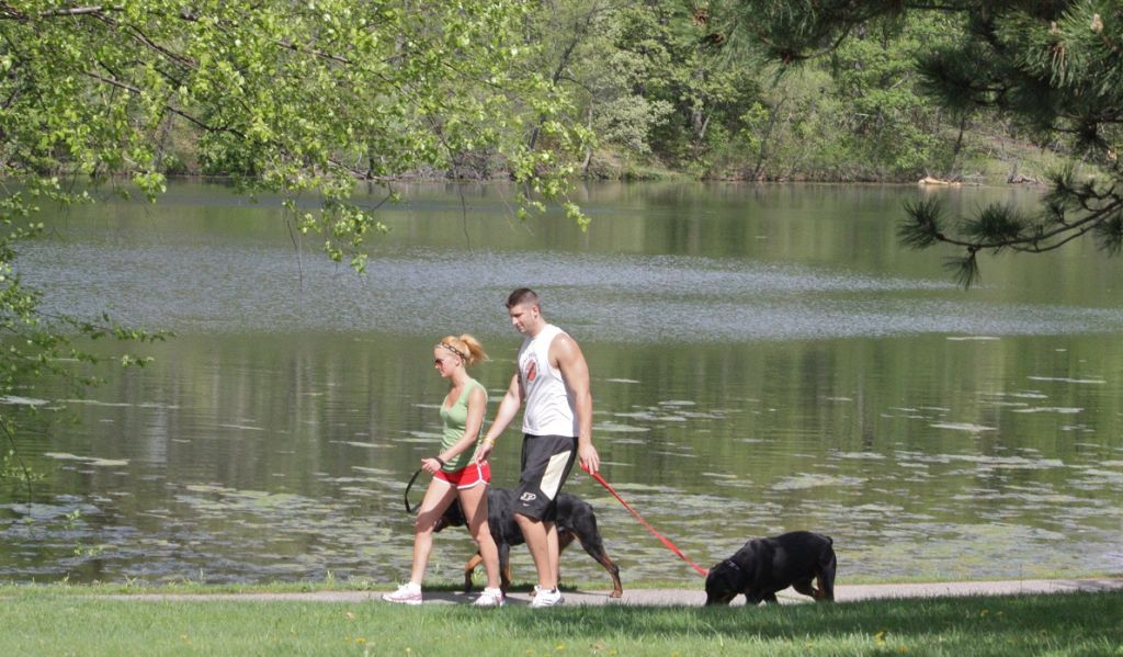 Rogers Lakewood Park