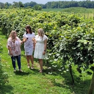 South Shore Winery Trail
