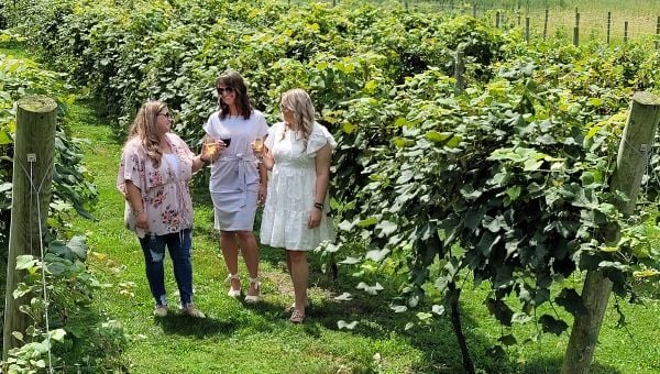 South Shore Winery Trail