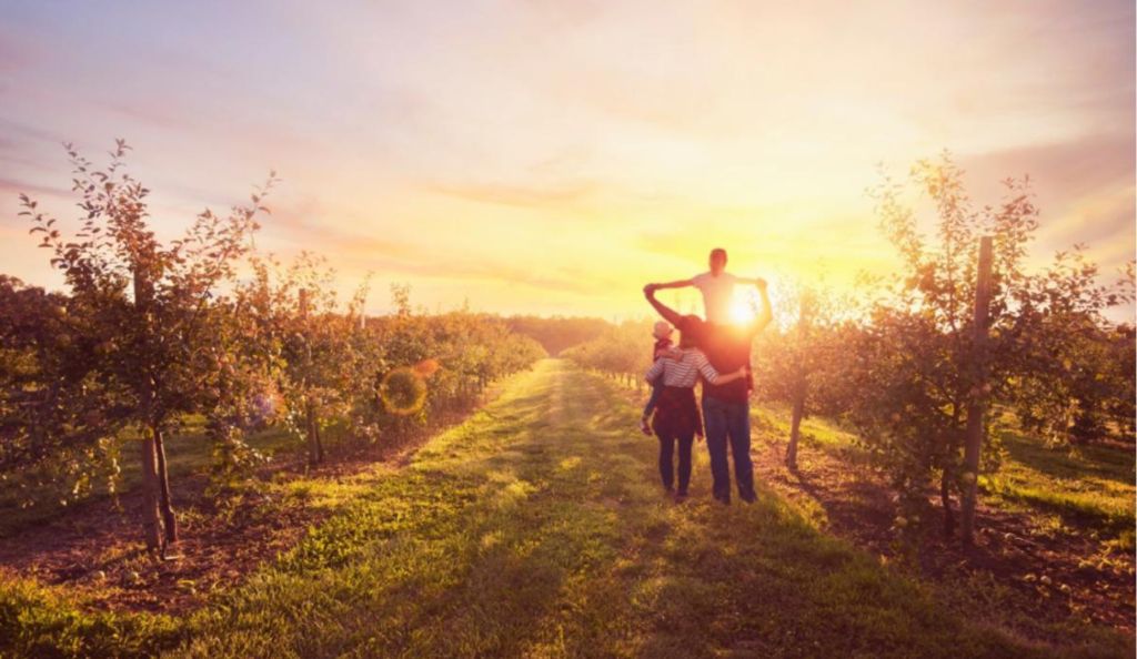 Fair Oaks Farms Fall Adventures