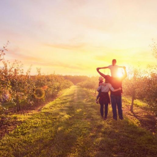 Fair Oaks Farms Fall Adventures