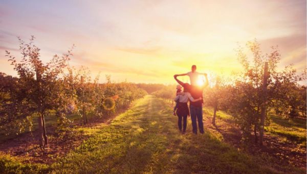 Fair Oaks Farms Fall Adventures